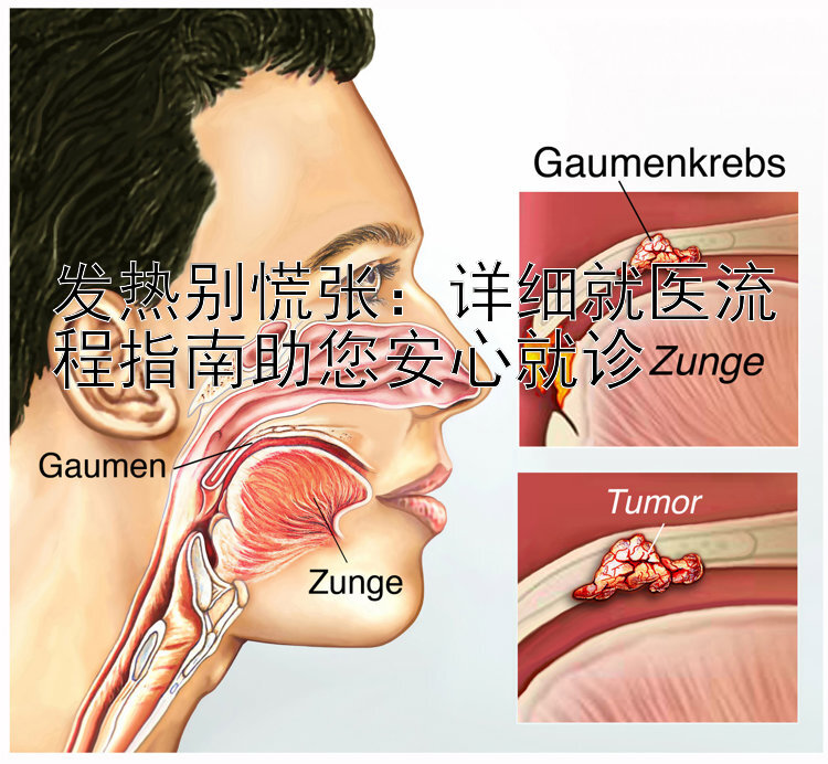 发热别慌张：详细就医流程指南助您安心就诊