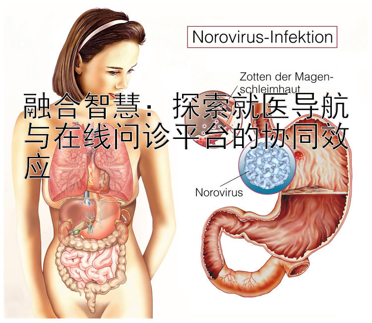 融合智慧：探索就医导航与在线问诊平台的协同效应